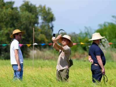 SS Rice News Convention 2025, Pattaya - Thailand